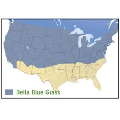 Bella™ Bluegrass Grass Plugs -Garden Outfitters Store bella blue grass map