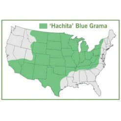 Hachita Blue Grama Grass Plugs -Garden Outfitters Store hachita blue grama grass map