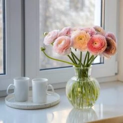 Pastel Ranunculus Mix -Garden Outfitters Store pastel ranunculus mix pastel persian buttercup mix window still vase
